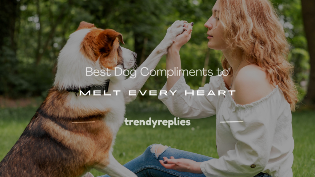 dog compliments