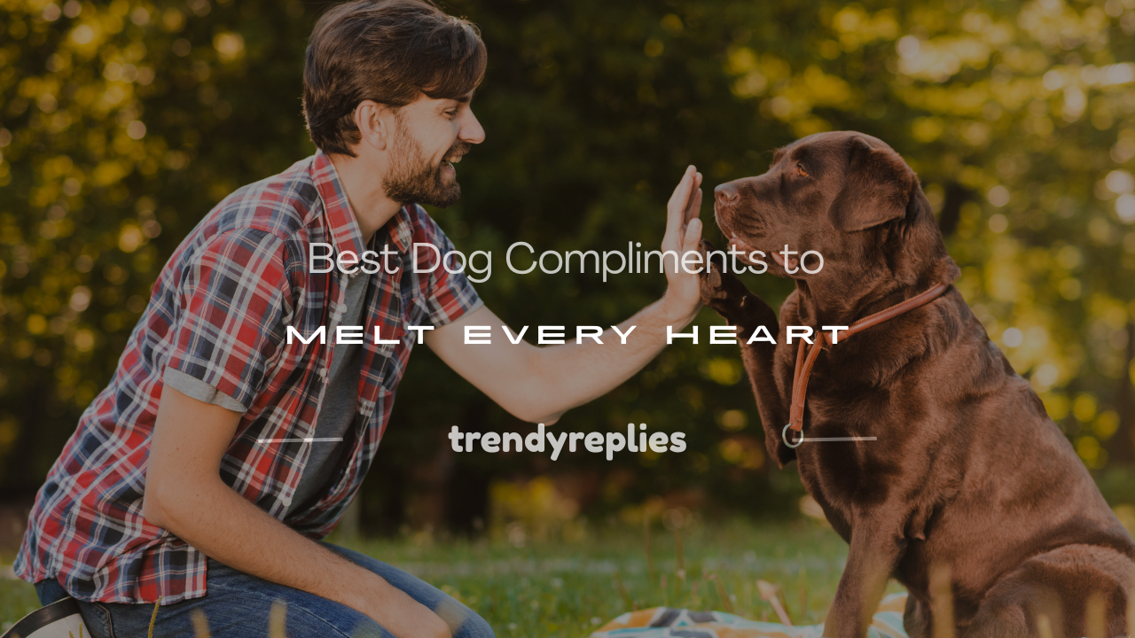 dog compliments